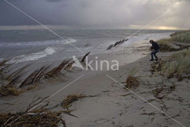 Northsea beach