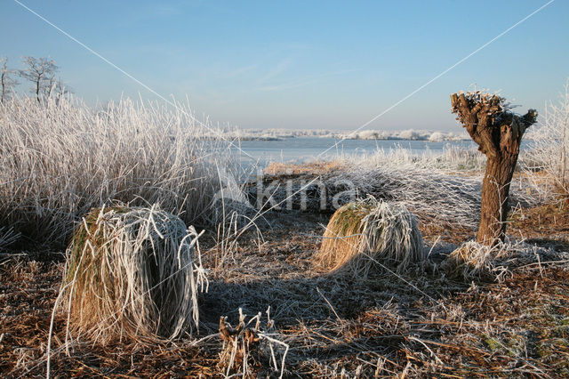 Reeuwijkse Plassen