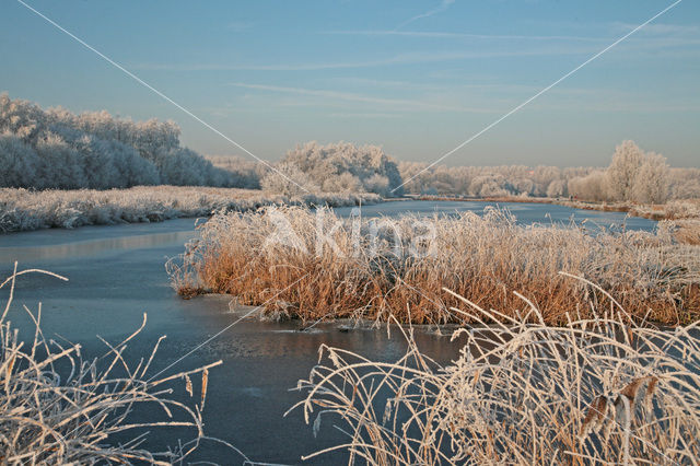 Reeuwijkse Plassen