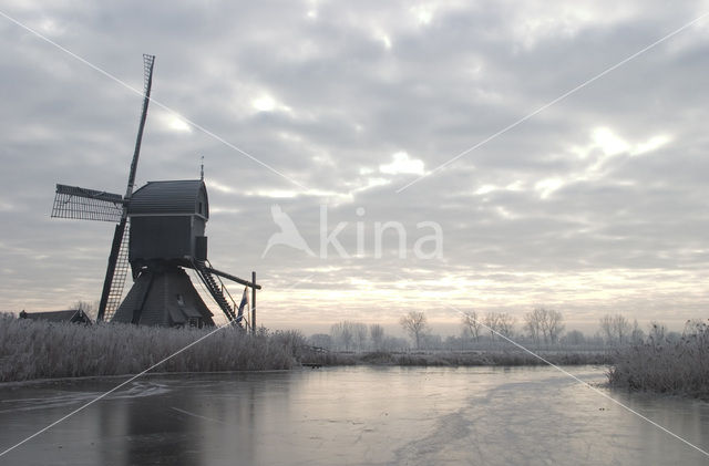 Scheiwijkse molen