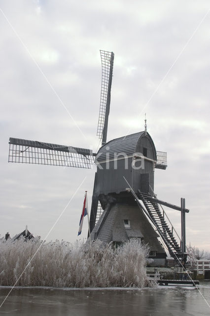 Scheiwijkse molen