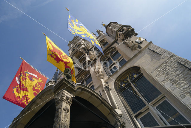 Townhall