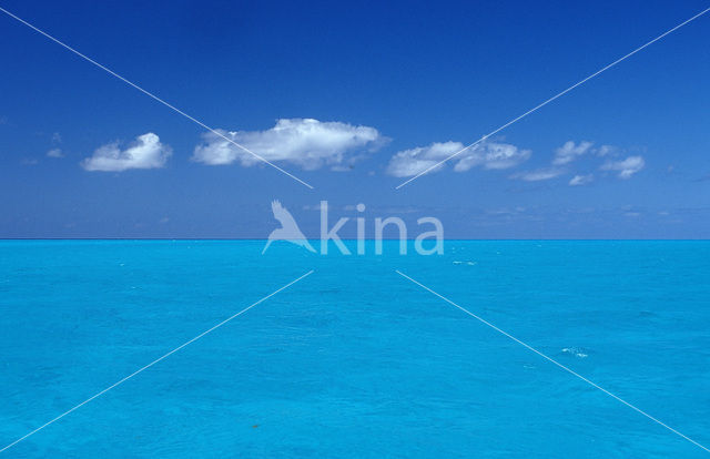 Atlantische Oceaan