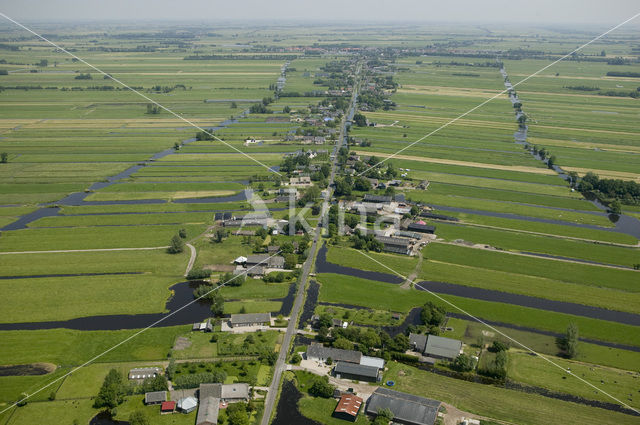 Berkenwoude