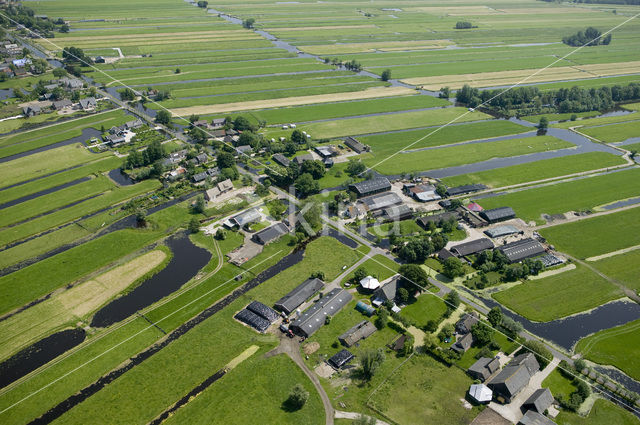 Berkenwoude