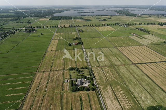 Bethunepolder