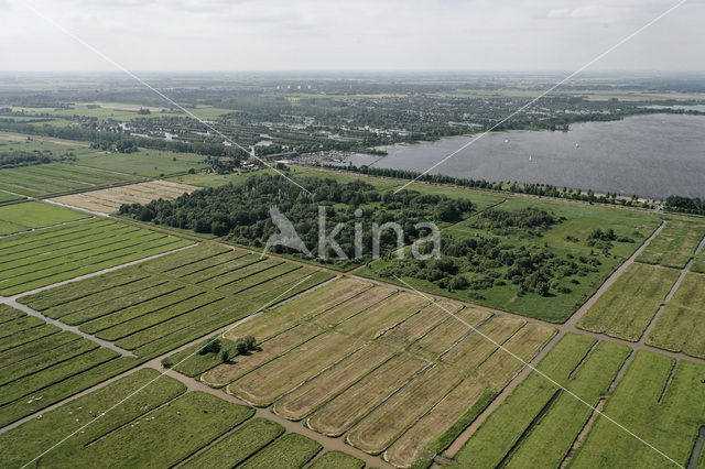 Bethunepolder