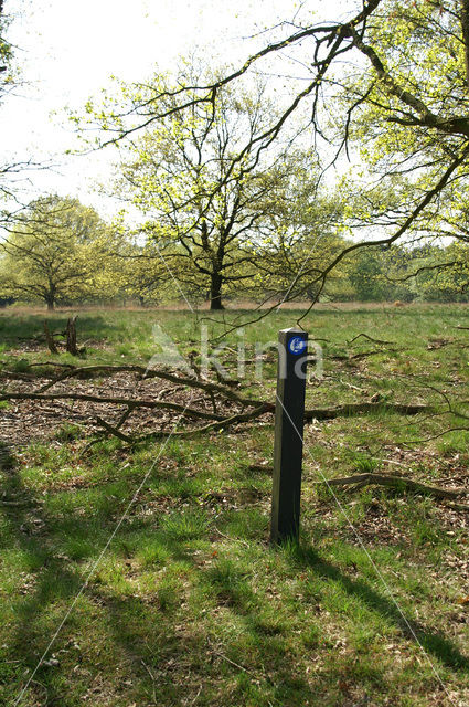 Boswachterij Leende