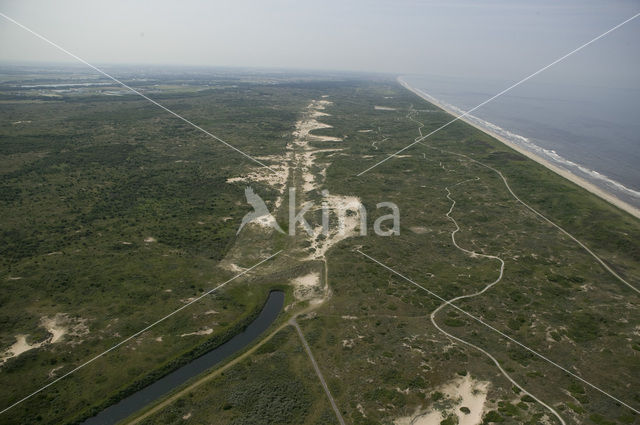 Coepelduinen