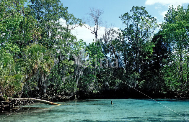 Crystal River National Wildlife Refuge