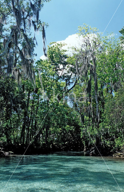 Crystal River National Wildlife Refuge