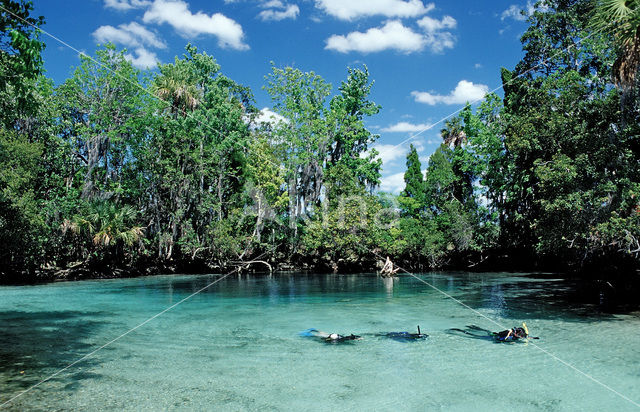 Crystal River National Wildlife Refuge