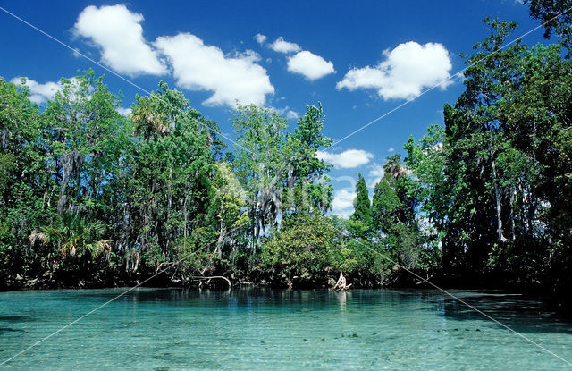 Crystal River National Wildlife Refuge