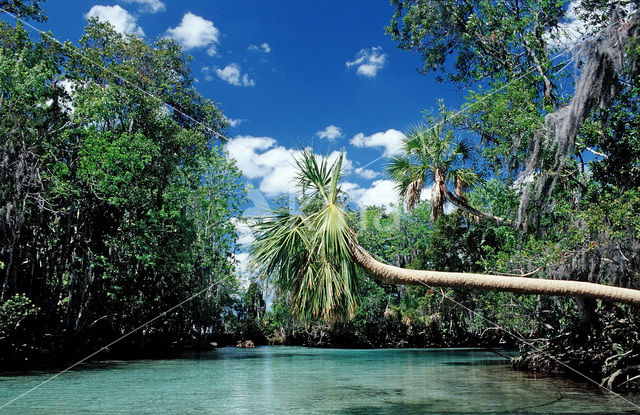 Crystal River National Wildlife Refuge