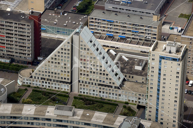 The Hague
