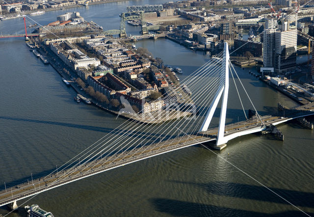 Erasmusbrug