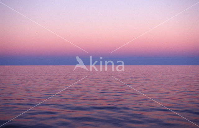 Pacific ocean