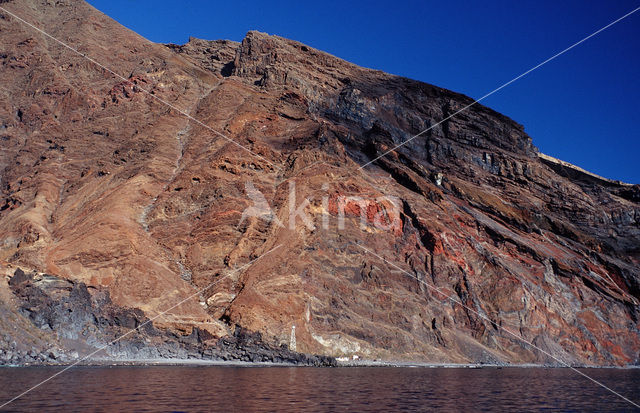 Guadalupe Island