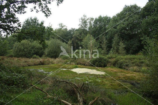 Landgoed Wallsteijn