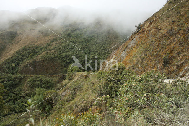 Manu National Park