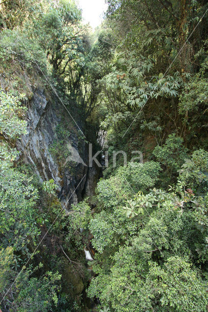 Manu National Park