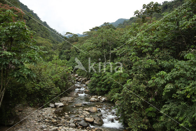 Manu National Park