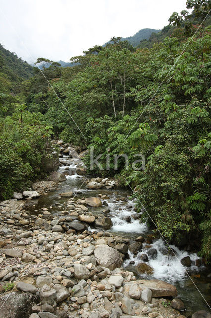 Manu National Park