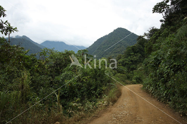 Manu National Park