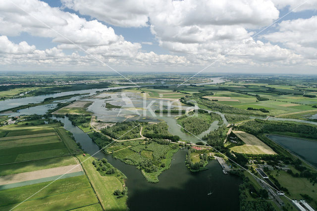 Nationaal Park de Biesbosch