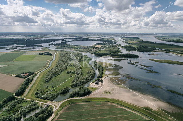 Nationaal Park de Biesbosch