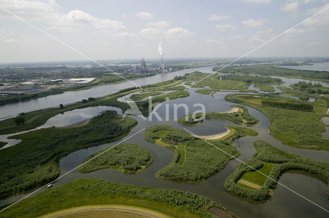 Nationaal Park de Biesbosch