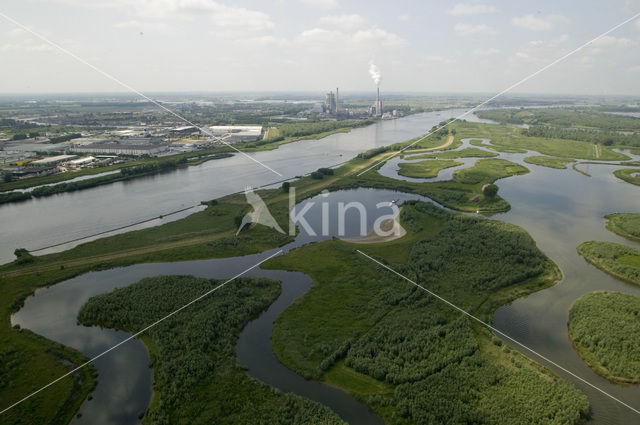 Nationaal Park de Biesbosch