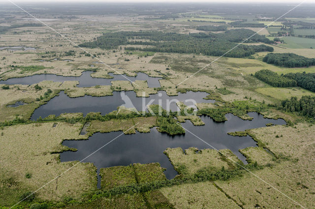 National Park de Groote Peel