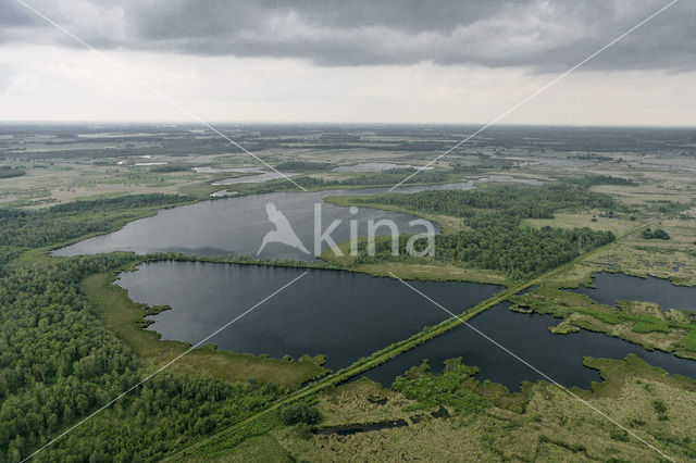 National Park de Groote Peel