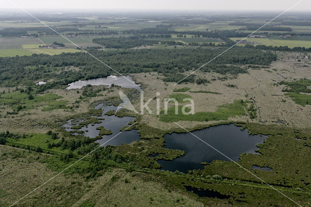 Nationaal Park de Groote Peel