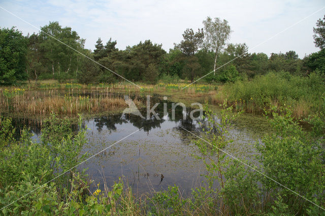 Nationaal Park Grenspark De Zoom