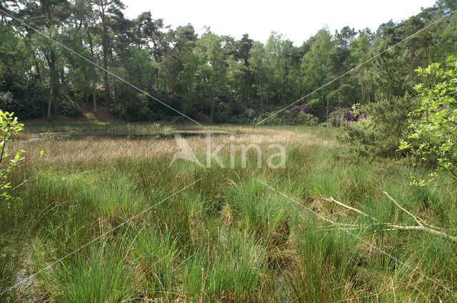 Nationaal Park Grenspark De Zoom