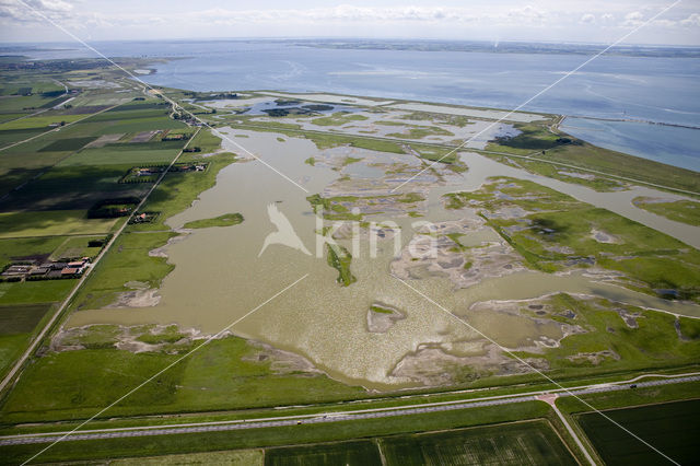 Nationaal Park Oosterschelde