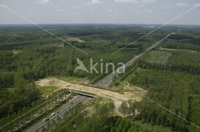 Wildlife crossing Het Groene Woud