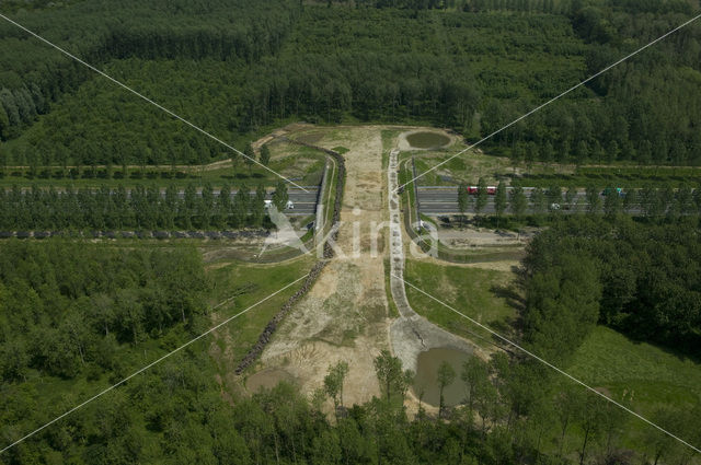 Natuurbrug Het Groene Woud