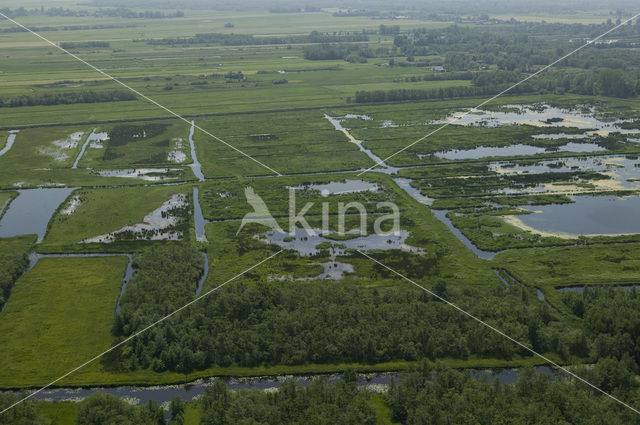 Oostelijke Binnenpolder