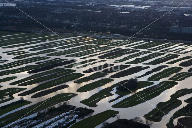 Polder Oostzaan