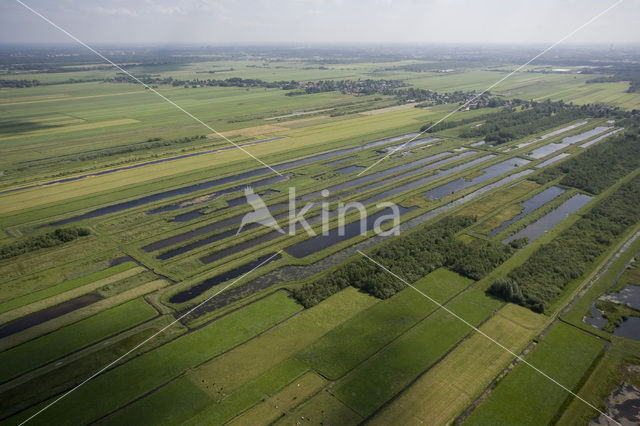 Polder Westbroek