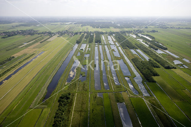 Polder Westbroek