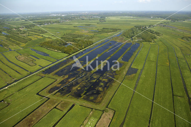 Polder Westbroek