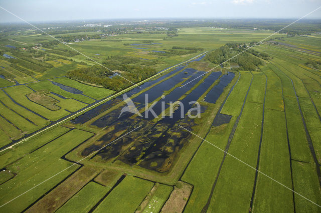 Polder Westbroek