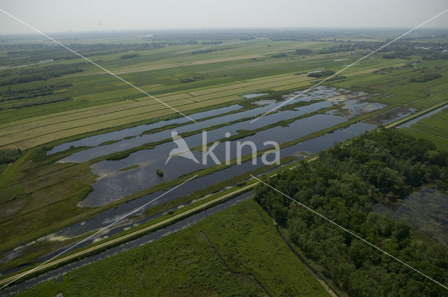 Polder Westbroek