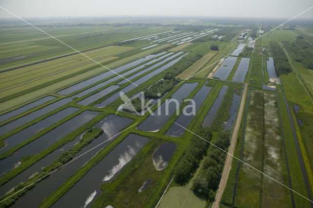 Polder Westbroek