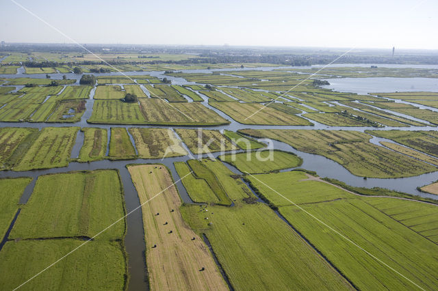 Polder Wormer