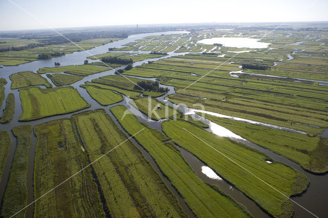 Polder Wormer